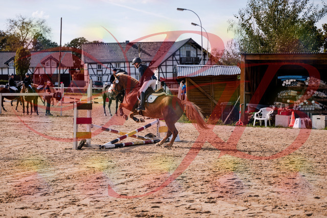 2026_10_03_Siefer-Hof_144727_Z81_24534530 | Professionelle Reitsport-, Turnier- und Eventfotografie von Robert Broda. Galerien mit ausgewählten und bearbeiteten Bildern direkt online ansehen und bestellen.
