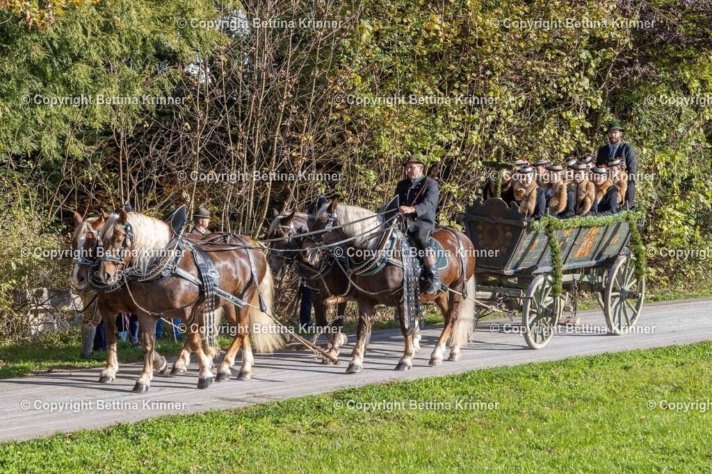 LBT24-321 | foto-bettina-krinner - Realisiert mit Pictrs.com