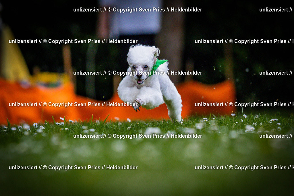 Sven Pries | 2025-05-29 - Pudelrennen KA-Durlach - Realisiert mit Pictrs.com
