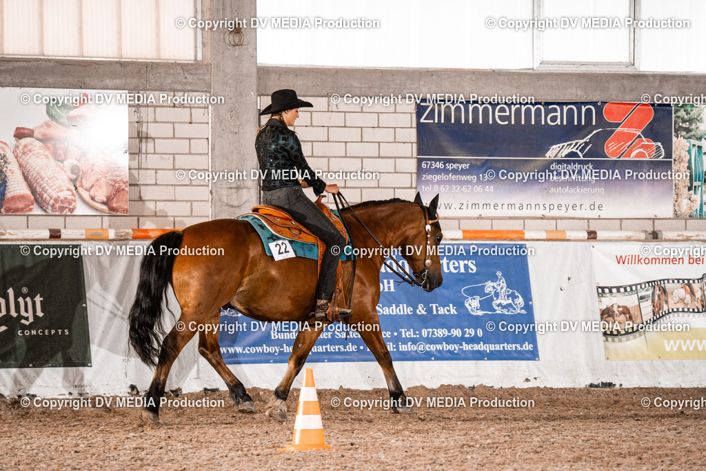 ZH100652 | dv-media-shop - Realisiert mit Pictrs.com