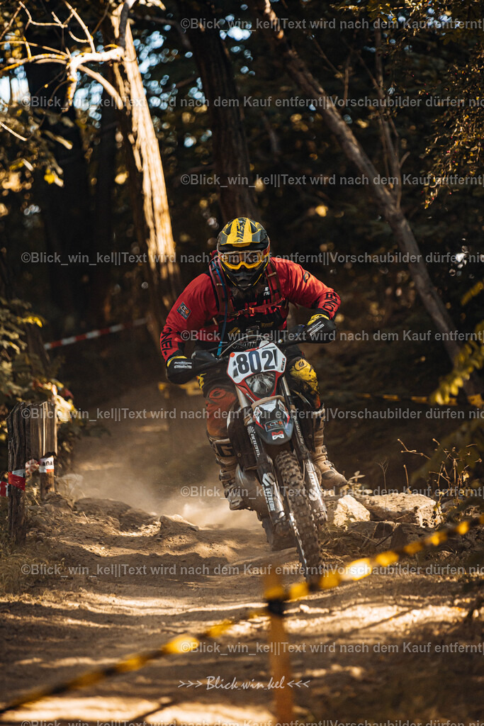 E68A5509 | blick_win_kel