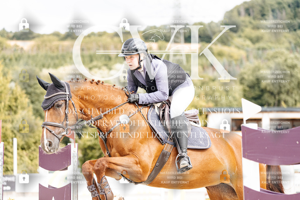 CK901868 | Turnierfotografie Pferdefotografie Trier Rheinland-Pfalz Pferdesport Reitsport Tierfotografie Sportfotografie Pferdevideo Pferdevideografie Equestrianvideography equestrianphotography  - Realisiert mit Pictrs.com