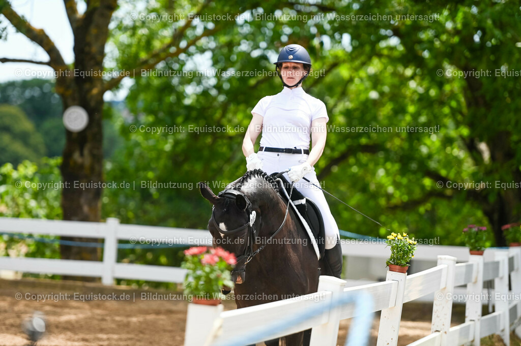 20230715_05_Dressurprüfung Kl.A++_0288 | equistock