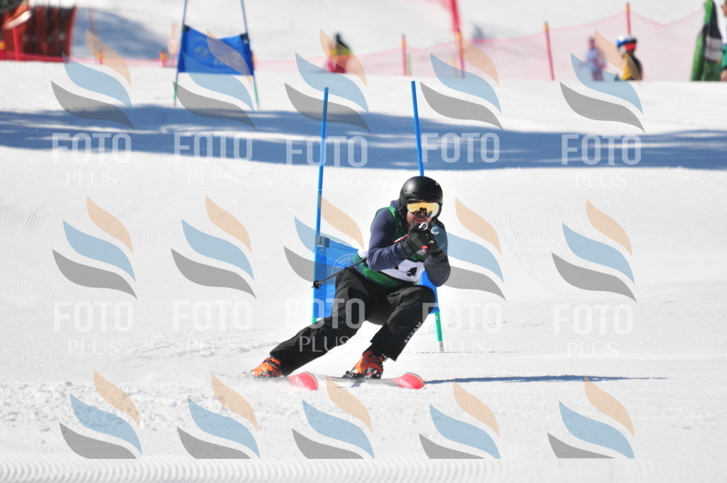 C3304 | holidayphoto