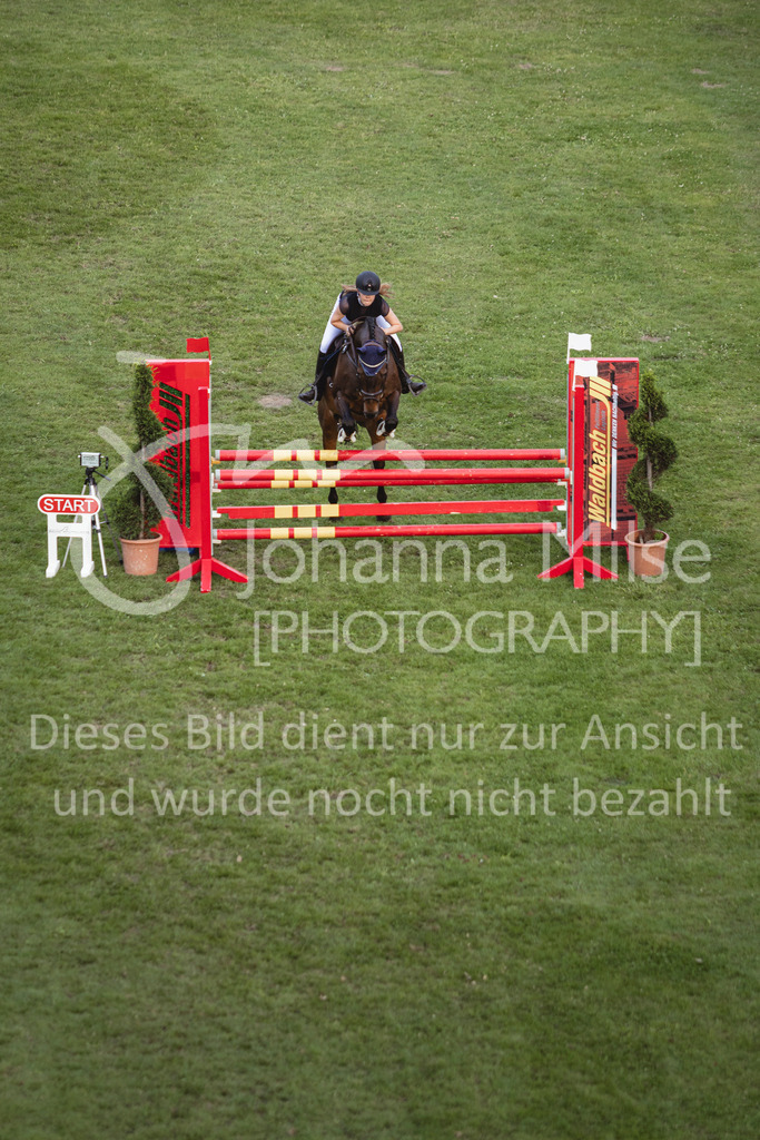 240719_LC_Mannschaft-706 | Deine schönsten Turniermomente als professionelle Fotos! Entdecke hochwertige Pferdesport-Fotografie im Online-Shop. Jetzt Fotos finden & bestellen!