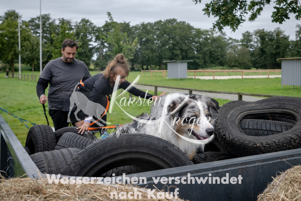 1300_ZZ92925 | kk-dogfotos