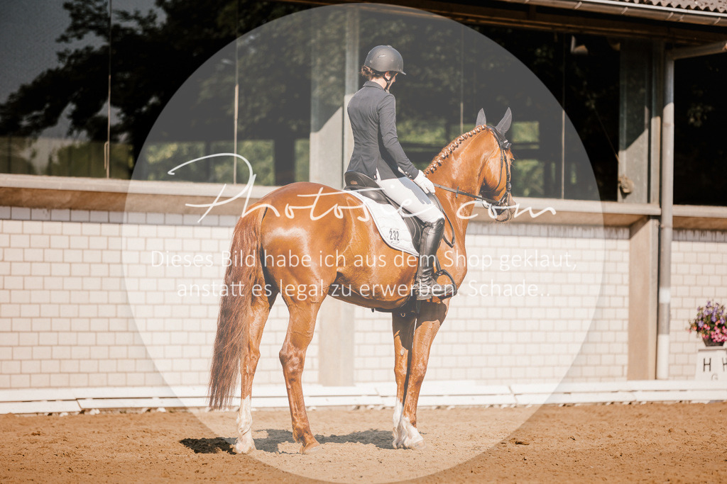 3I6A8979 | Stimmungsvolle Portraits und Reitsportfotografie im Ruhrgebiet und im Münsterland.

Pferdefotografie, Hundefotografie, Tierfotografie, Reportagen, Portraits von Tier und Mensch, Turnierfotografie in Bochum, Recklinghausen, Marl, Haltern am See, Dülmen.. - Realisiert mit Pictrs.com