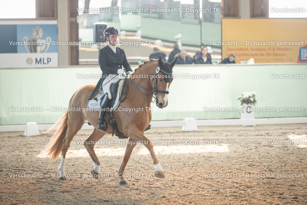 _D5A7923 | Emotionale Pferde- & People-Fotografie rund um Heidelberg, Leimen & Umgebung. Natürliche Fotos von Pferd, Mensch & Familie. Jetzt Termin sichern!
