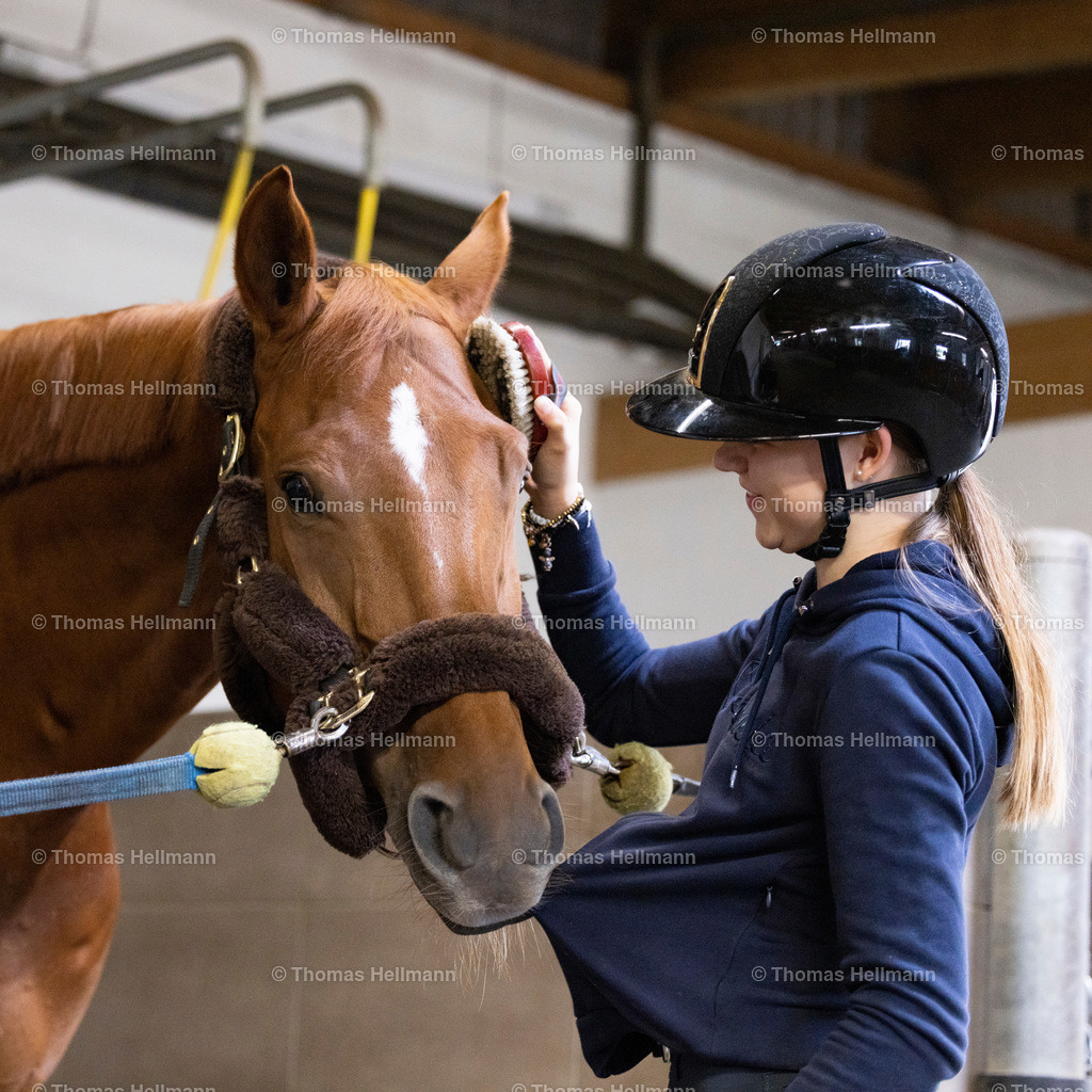 TH_Carolina Miesner_2019 | Carolina Miesner beim Carolina Miesner am 29.09.22 in Scheeßel, Reitanlage Miesner
