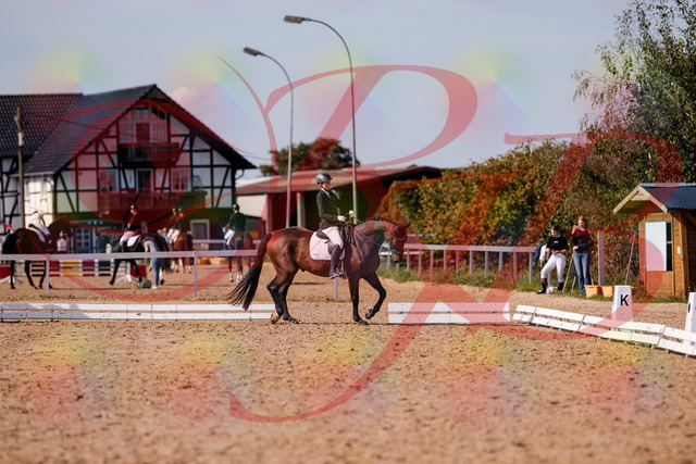 2026_10_03_Siefer-Hof_130240_Z81_57567897 | Professionelle Reitsport-, Turnier- und Eventfotografie von Robert Broda. Galerien mit ausgewählten und bearbeiteten Bildern direkt online ansehen und bestellen.