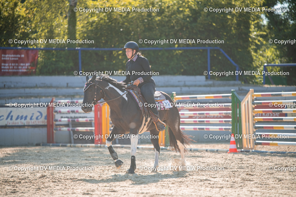 EWP_7104 | dv-media-shop - Realisiert mit Pictrs.com