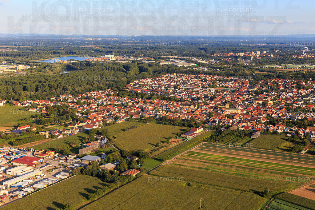 Ortsansicht von Norden | Luftbild: Ortsansicht von Norden in Lingenfeld im Bundesland Rheinland-Pfalz in Deutschland. Foto: IMG_116790.jpg vom 14.08.2019 durch Werner Riehm/FLY-FOTO.de - Realisiert mit Pictrs.com