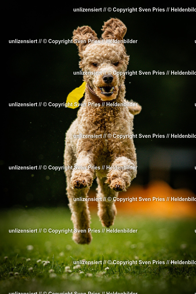 Sven Pries | 2025-05-29 - Pudelrennen KA-Durlach - Realisiert mit Pictrs.com