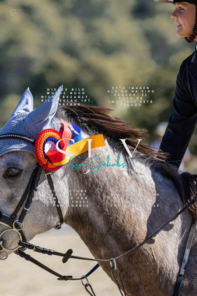 IMG_0135 | s-jay-photography - Realisiert mit Pictrs.com