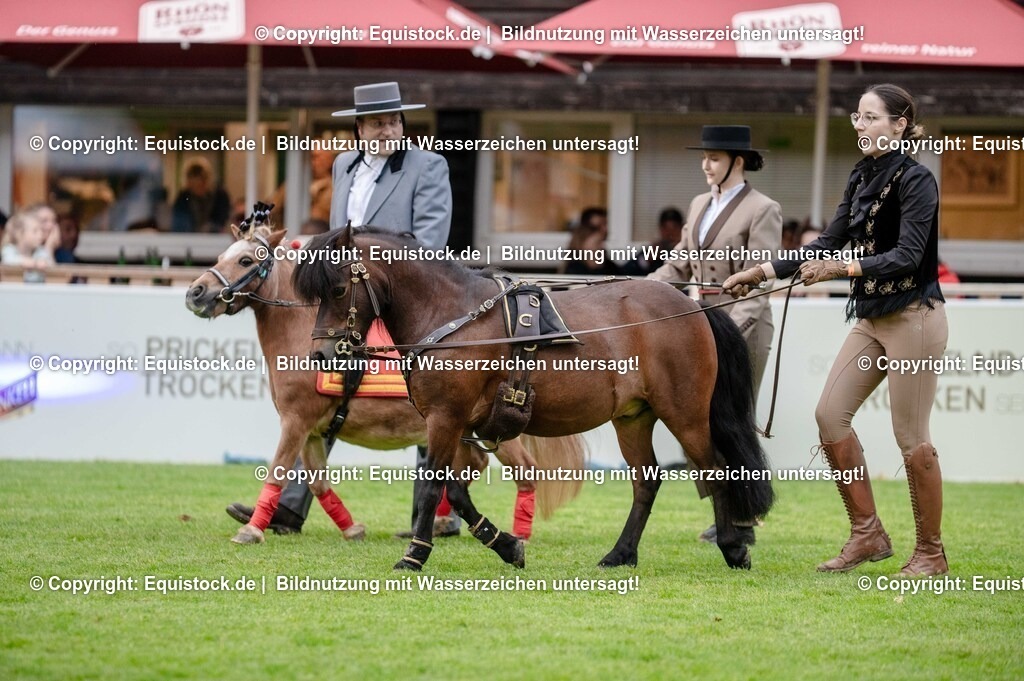 20250606_Lange-Pferdenacht_0550 | Foto: Thomas Hartig