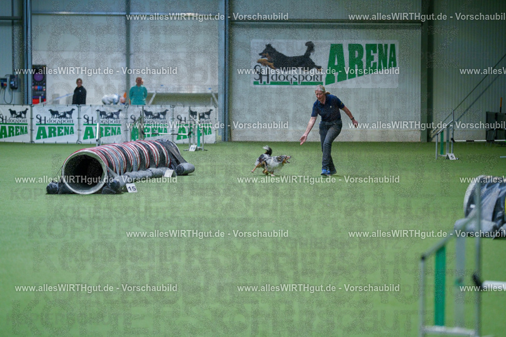 @allesWIRTHgut_Tierfotografie - www.allesWIRTHgut.de - 2604250958-7R509337 | Professionelle Tierfotografie in Mönchengladbach von Daniel Wirth (allesWIRTHgut). Liebevolle & natürliche Bilder von Hunden & Katzen für unvergessliche Erinnerungen.
