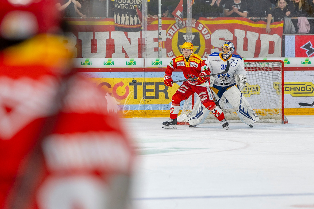 EHCB vs EVZ 20260227_WB-7603 | Sportbilder, Sportfotograf, Hochzeits- und Eventfotografin, Flugshows, Portraits und Tiershooting, Aviation, Downhill, Nationalleague, Swissleague, International