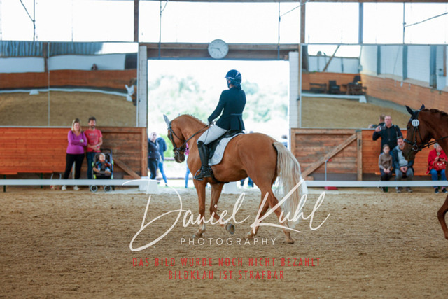 _62_5875 | Turniersportfotografie; Pferdefotografie; Dressurfotografie