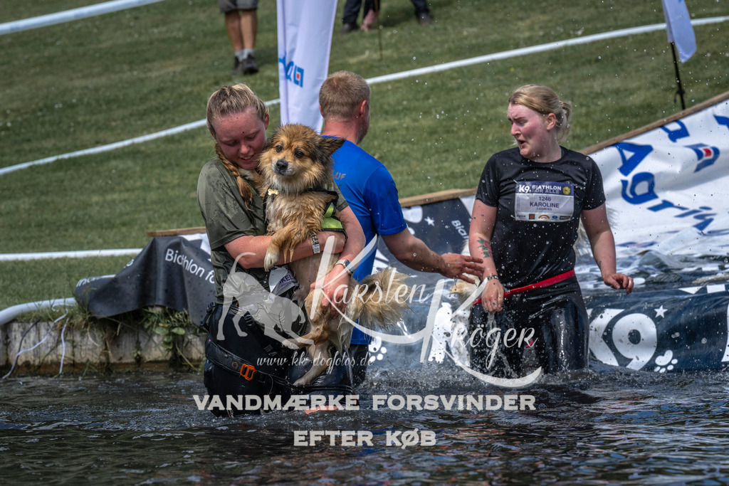 1103_ZZ90582 | kk-dogfotos