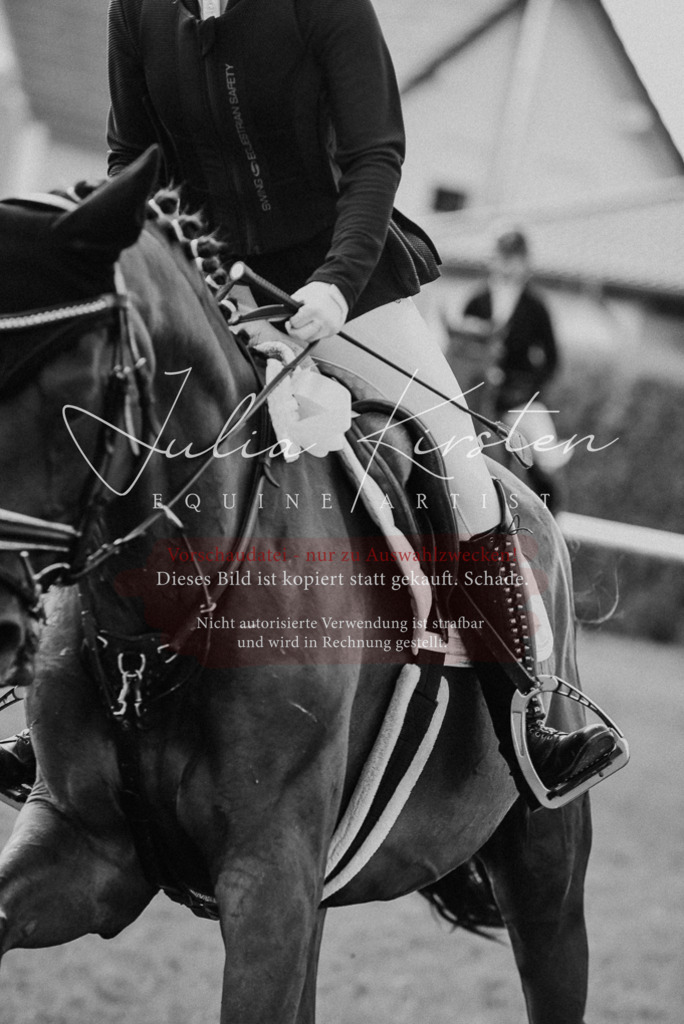 DSC_9027 | Pferde- und Turnierfotografie in Westsachsen. Pferdeportraits, Auftragszeichnungen und intuitive Kunst.