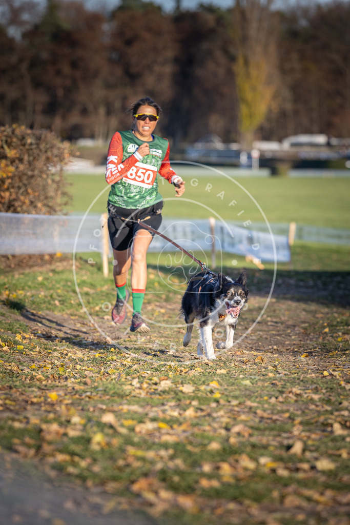 CaniXpix_DV3A3863 | Hundefotografie, Tierfotograf, Pfotenfotografie, Fotoshooting Hund, Hunde Portrait, Hundesport, Hundeportraits, Heideshooting, Hunde, Sportfotograf, Hundefotograf, Turnierhundsport, THS,  - Realisiert mit Pictrs.com