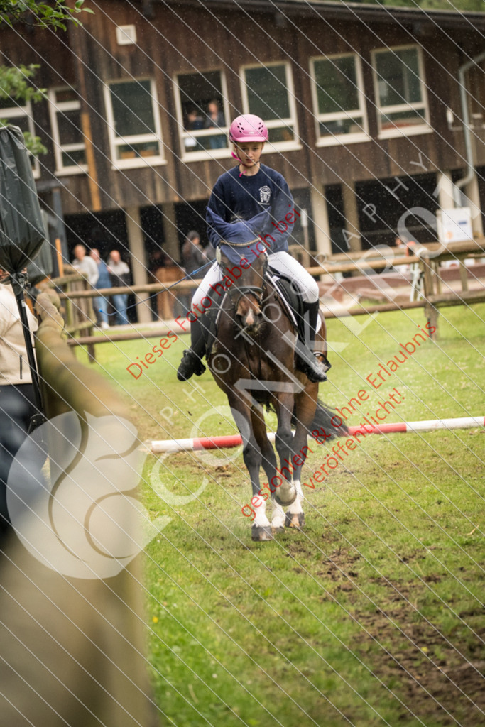 DSC_4768 | Sport-, Event- und Tierfotos in Profiqualität. Einfach auswählen, bestellen und herunterladen. Dein Moment – perfekt festgehalten.