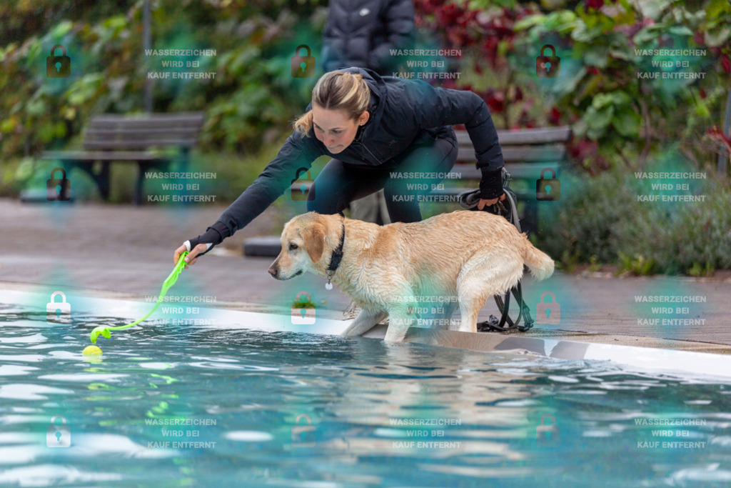 _HP_7155_1000o | HetPix, HetPix Fotodesign, Fotografie, Fotodesign, Webshop, Sportfotografie, Portraitfotografie, Onlineshop, Sportfotografie, Polch, Motorsportfotografie, Eventfotografie