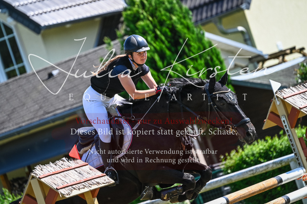 DSC_1337 | Pferde- und Turnierfotografie in Westsachsen. Pferdeportraits, Auftragszeichnungen und intuitive Kunst.