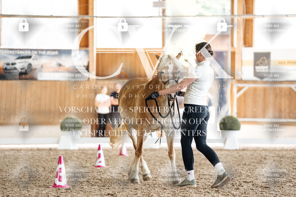 CK908586 | Turnierfotografie Pferdefotografie Trier Rheinland-Pfalz Pferdesport Reitsport Tierfotografie Sportfotografie Pferdevideo Pferdevideografie Equestrianvideography equestrianphotography  - Realisiert mit Pictrs.com