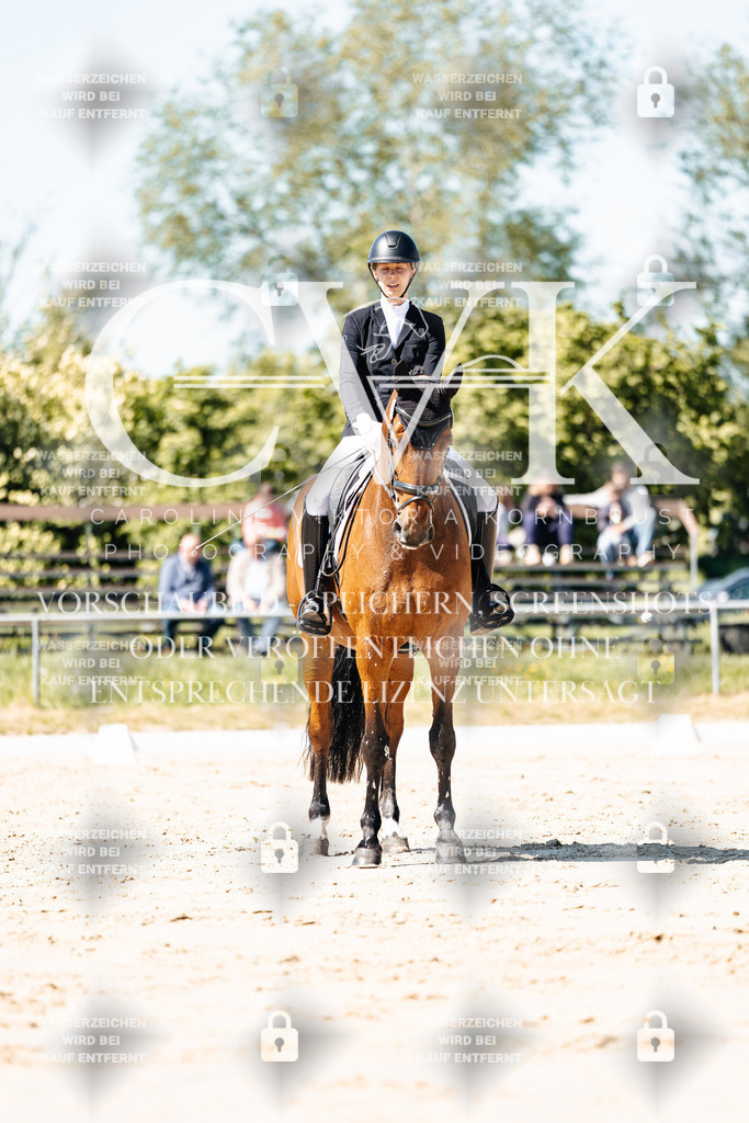 CK905127 | Turnierfotografie Pferdefotografie Trier Rheinland-Pfalz Pferdesport Reitsport Tierfotografie Sportfotografie Pferdevideo Pferdevideografie Equestrianvideography equestrianphotography  - Realisiert mit Pictrs.com