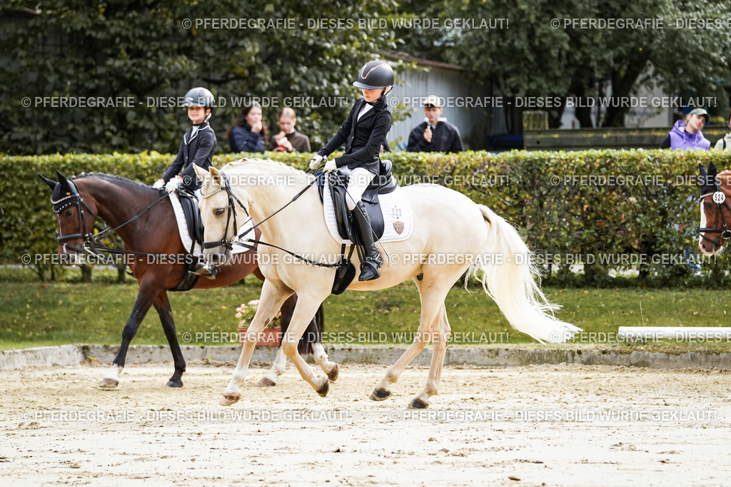 DSC05570 | Pferdegrafie