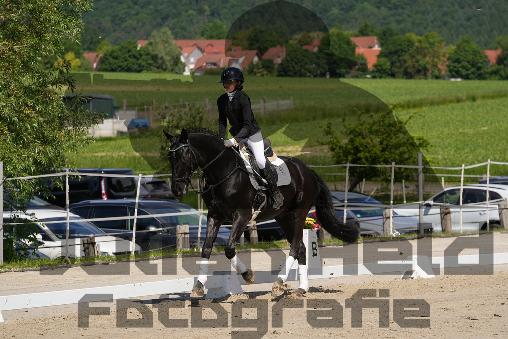 DSC03218 | Julian Held Fotografie - Realisiert mit Pictrs.com