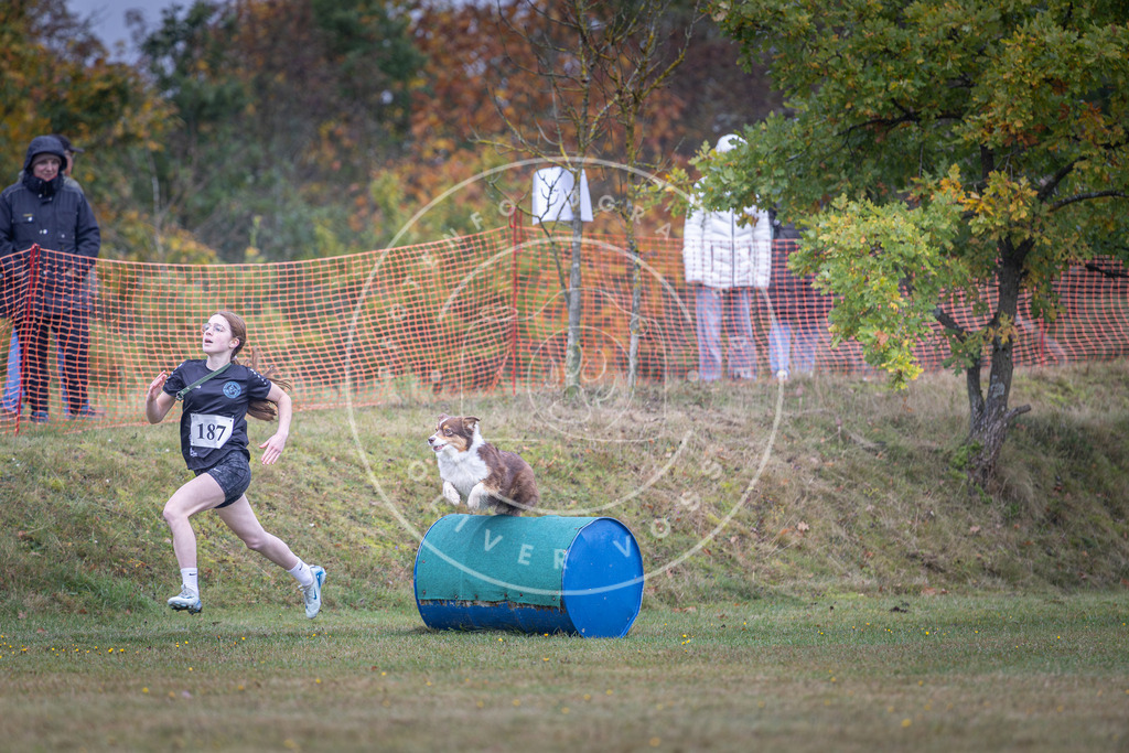 Pfotenfotografie_DV3A0488 | Hundefotografie, Tierfotograf, Pfotenfotografie, Fotoshooting Hund, Hunde Portrait, Hundesport, Hundeportraits, Heideshooting, Hunde, Sportfotograf, Hundefotograf, Turnierhundsport, THS,  - Realisiert mit Pictrs.com