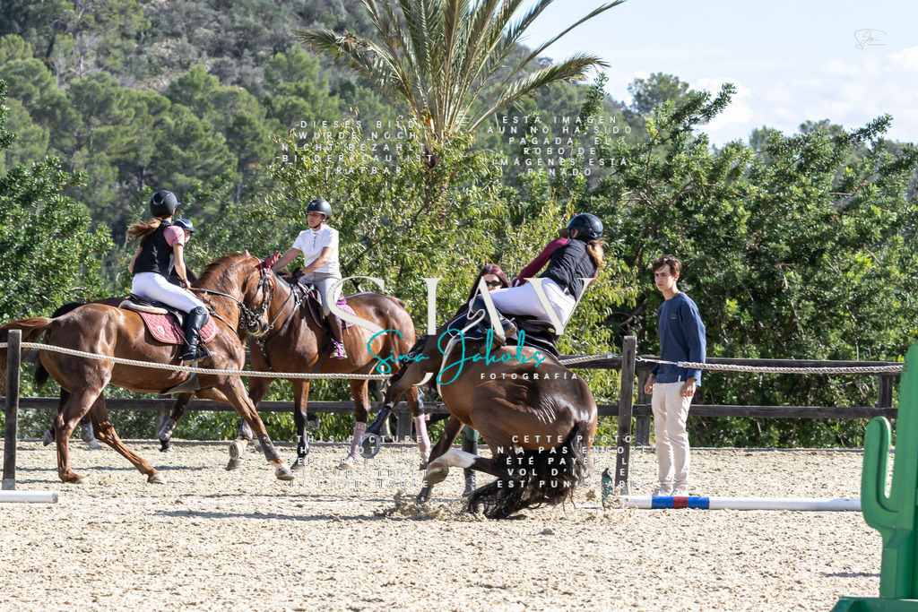 IMG_0355 | s-jay-photography - Realisiert mit Pictrs.com