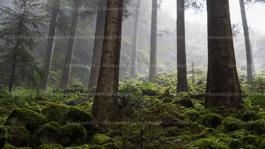 Nebelwald Schwarzwald | am Burgbach Wasserfall - Realisiert mit Pictrs.com