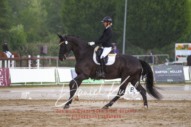 DKP40810 | Turniersportfotografie; Pferdefotografie; Dressurfotografie