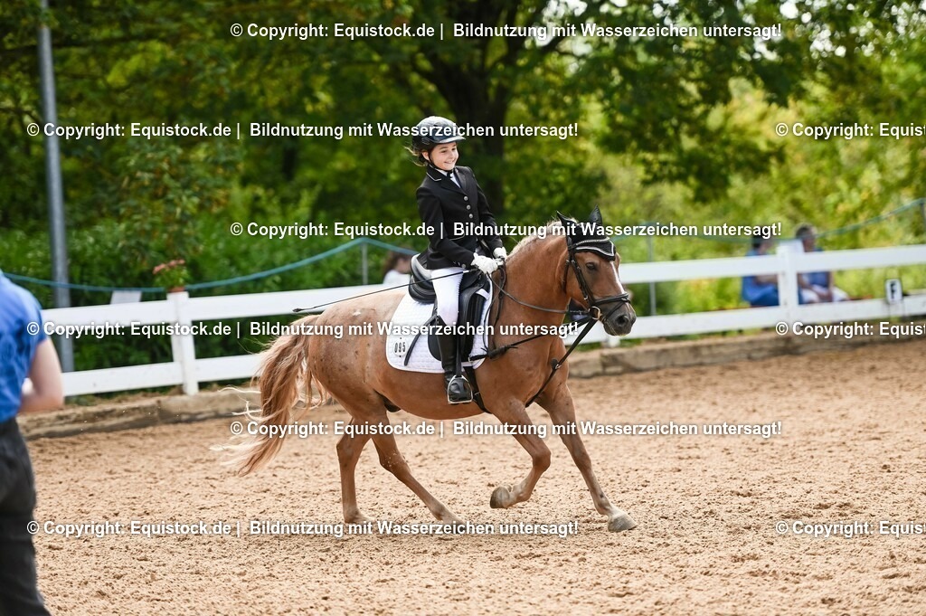 20230716_10-3_Reiter-WB Schritt - Trab - Galopp_0184 | equistock