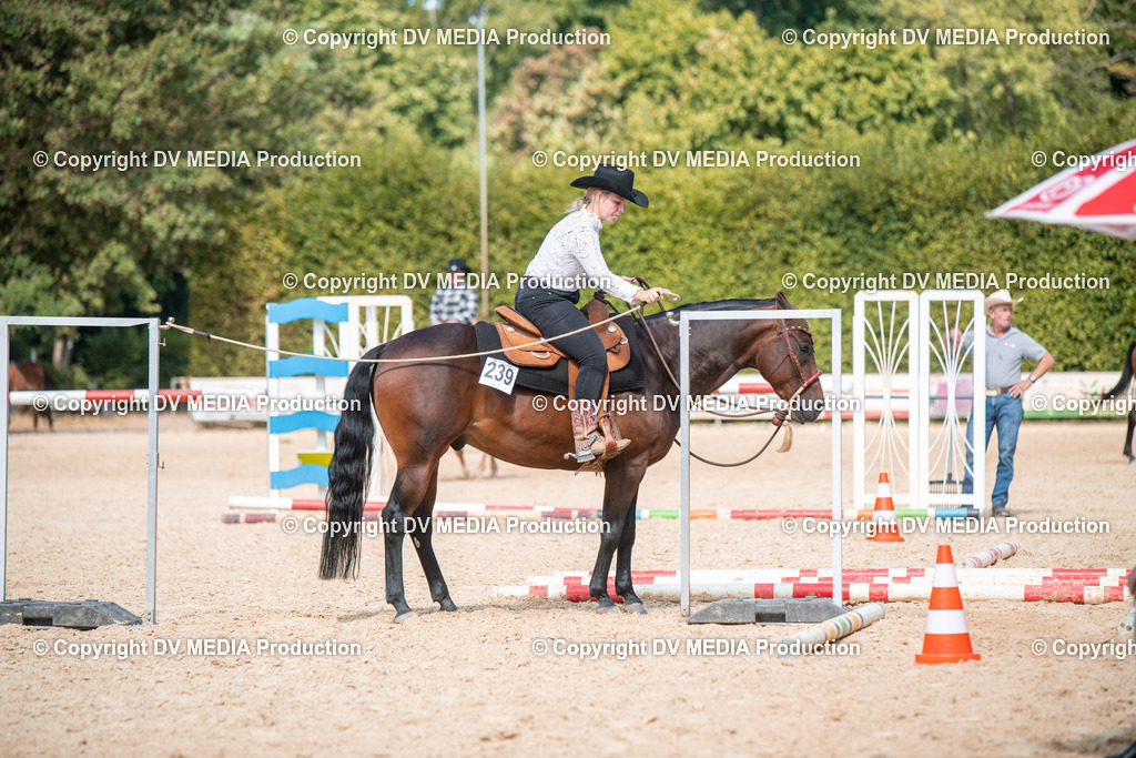 EWP_6818 | dv-media-shop - Realisiert mit Pictrs.com