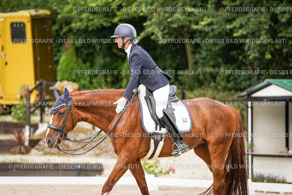 DSC09253 | Pferdegrafie