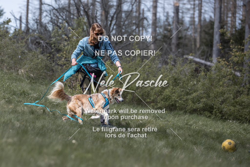 6Z1A1045 | nelerasche