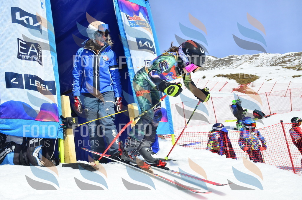 _ELE1220 | holidayphoto