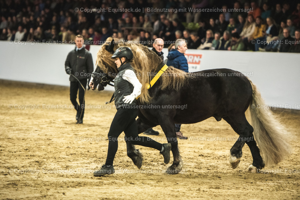 20240302_Hengstvorstellung_Marbach_TOMsPiC_0624 | equistock