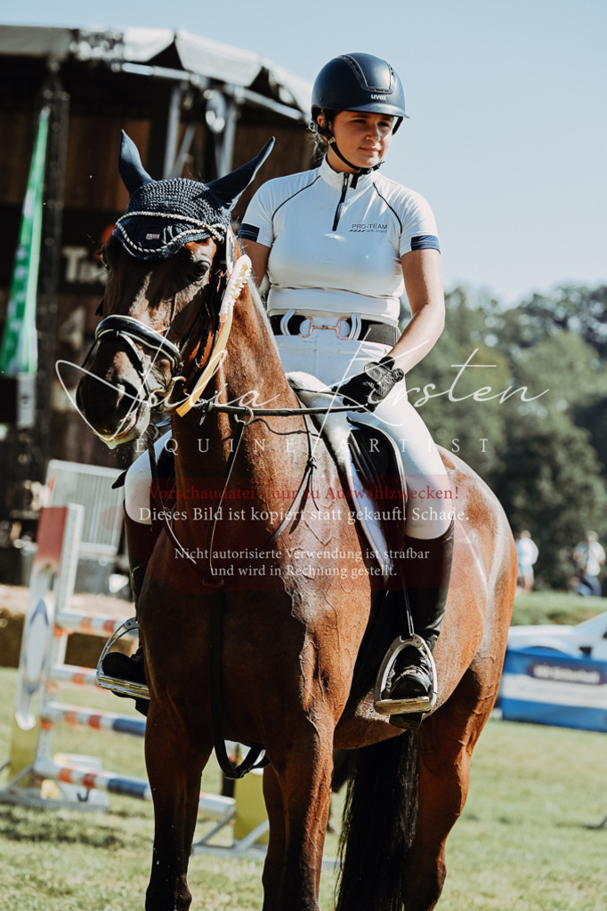 DSC_6253 | Pferde- und Turnierfotografie in Westsachsen. Pferdeportraits, Auftragszeichnungen und intuitive Kunst.