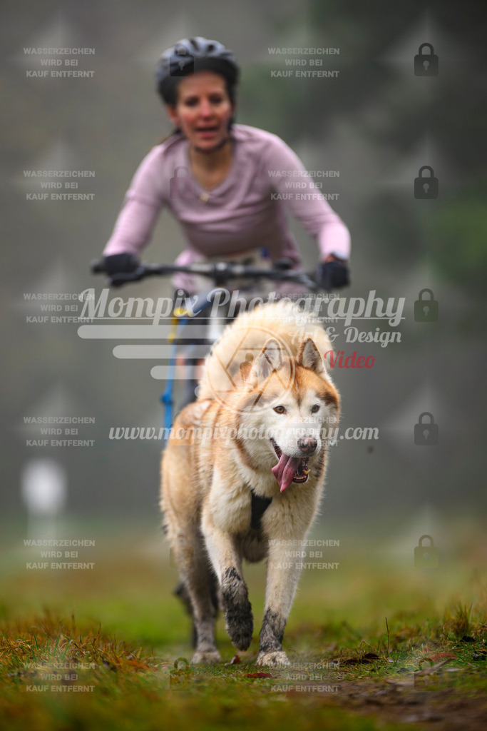 MompixPhotography_Bischwiller2025_Scooter-64 | mompixphotography