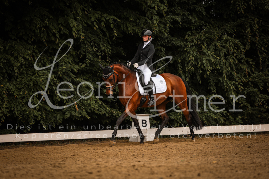 DoDrA200229 | Leoni Ertmer Photography - Realisiert mit Pictrs.com