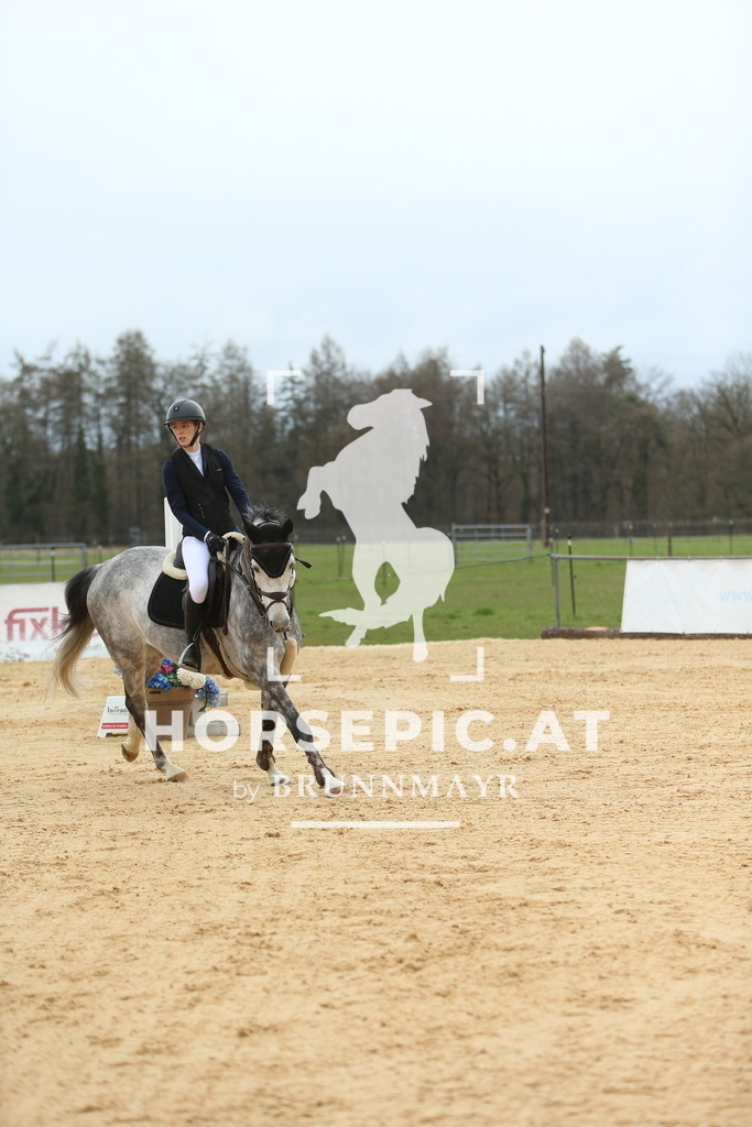 DL2Q1478 | Willkommen bei Brunnmayr - Design & Fotografie – Ihrem Spezialisten für Reitturniere und Pferdeveranstaltungen in Oberösterreich, Salzburg und Bayern! Seit über 17 Jahren sind wir leidenschaftlich dabei.