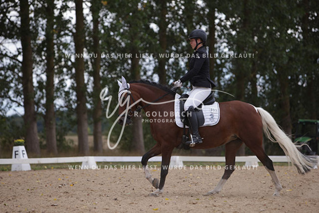 1J2A1028Charlotte Fehr_ Ikon 16_ Kn061_ Wöpkendorf_ Annalena Beier_ Quinn M_ Kn095 | Foto- und Videografie für alles rund ums Pferd. Hochwertige Bilder und Videos vom Spring- und Dressurreiten, Voltigieren & mehr. Jetzt aktuelle Veranstaltungen und Preise im Shop ansehen. - Realisiert mit Pictrs.com