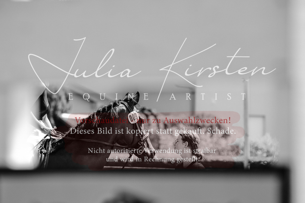 DSC_0140 | Pferde- und Turnierfotografie in Westsachsen. Pferdeportraits, Auftragszeichnungen und intuitive Kunst.