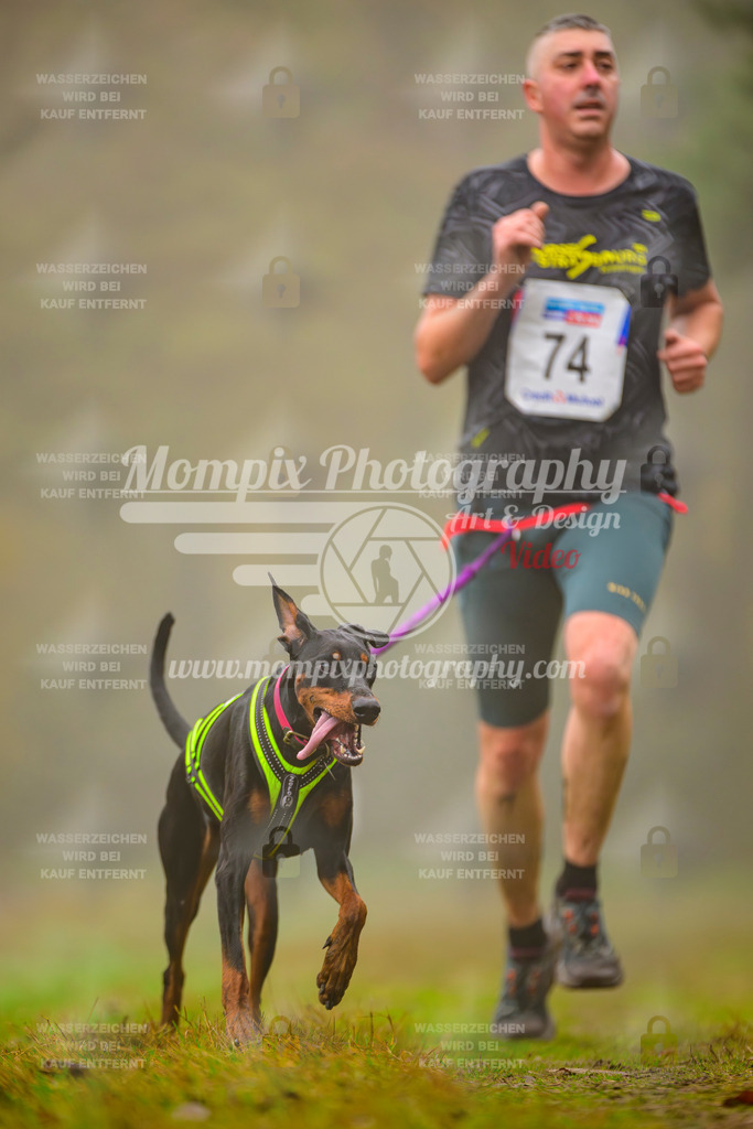 MompixPhotography_Bischwiller2025_Canicross-62 | mompixphotography