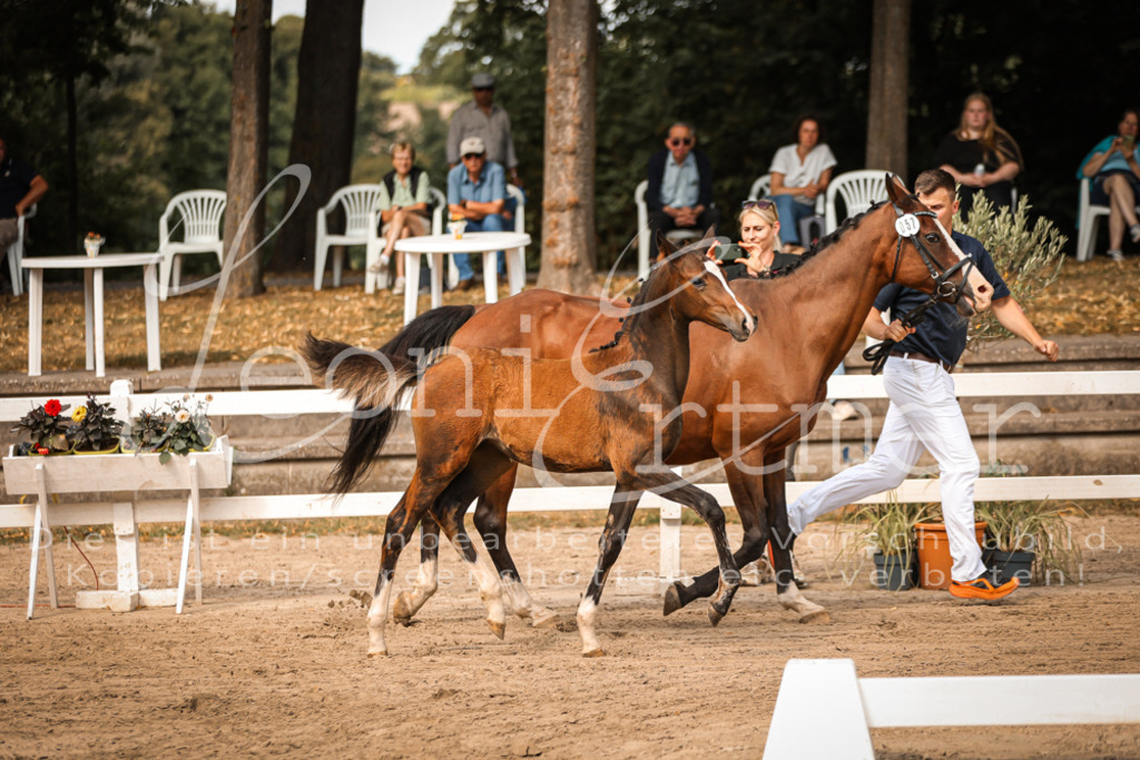 10.DoRP00095 | Leoni Ertmer Photography - Realisiert mit Pictrs.com